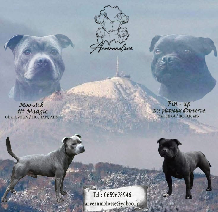 En attente de confirmation de gestation