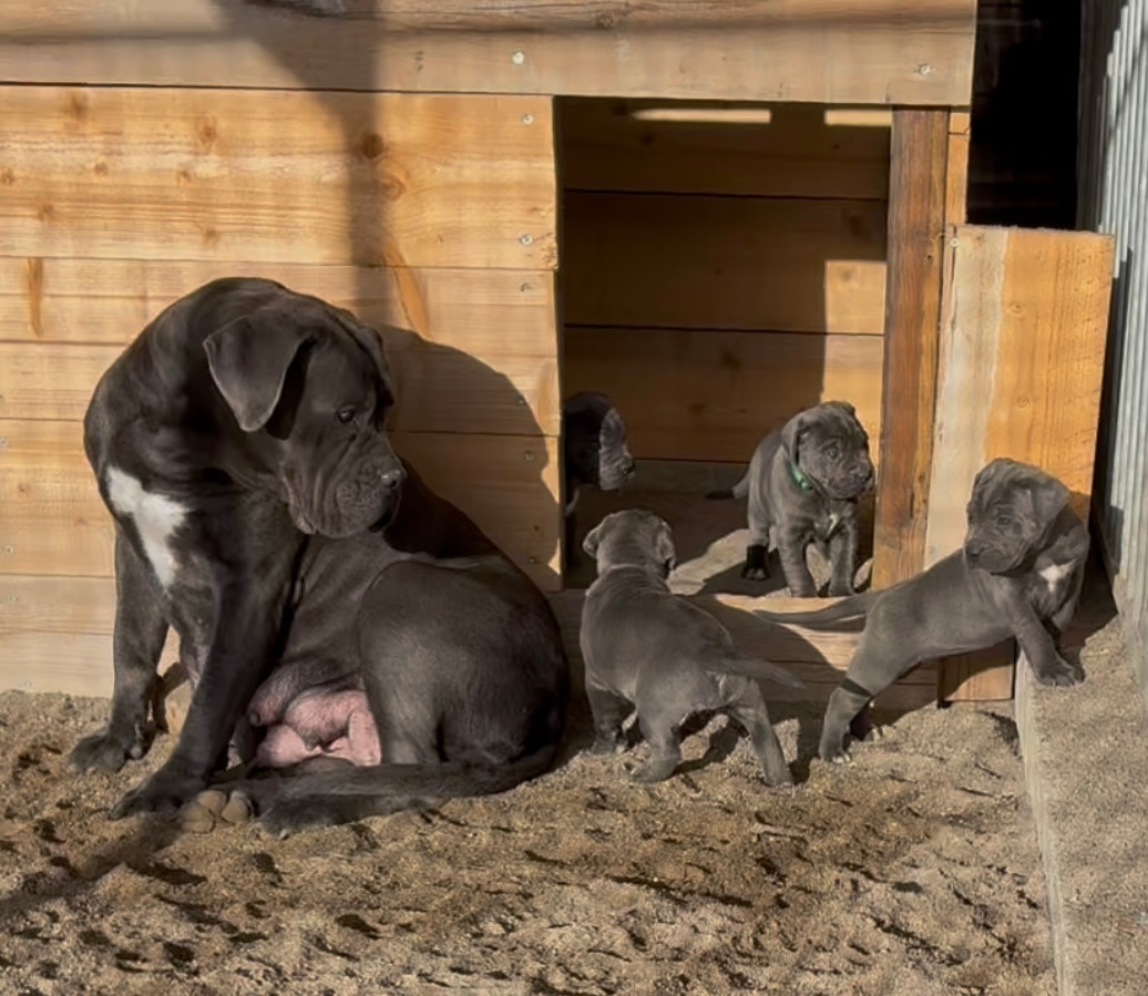 Enfin dehors avec maman !