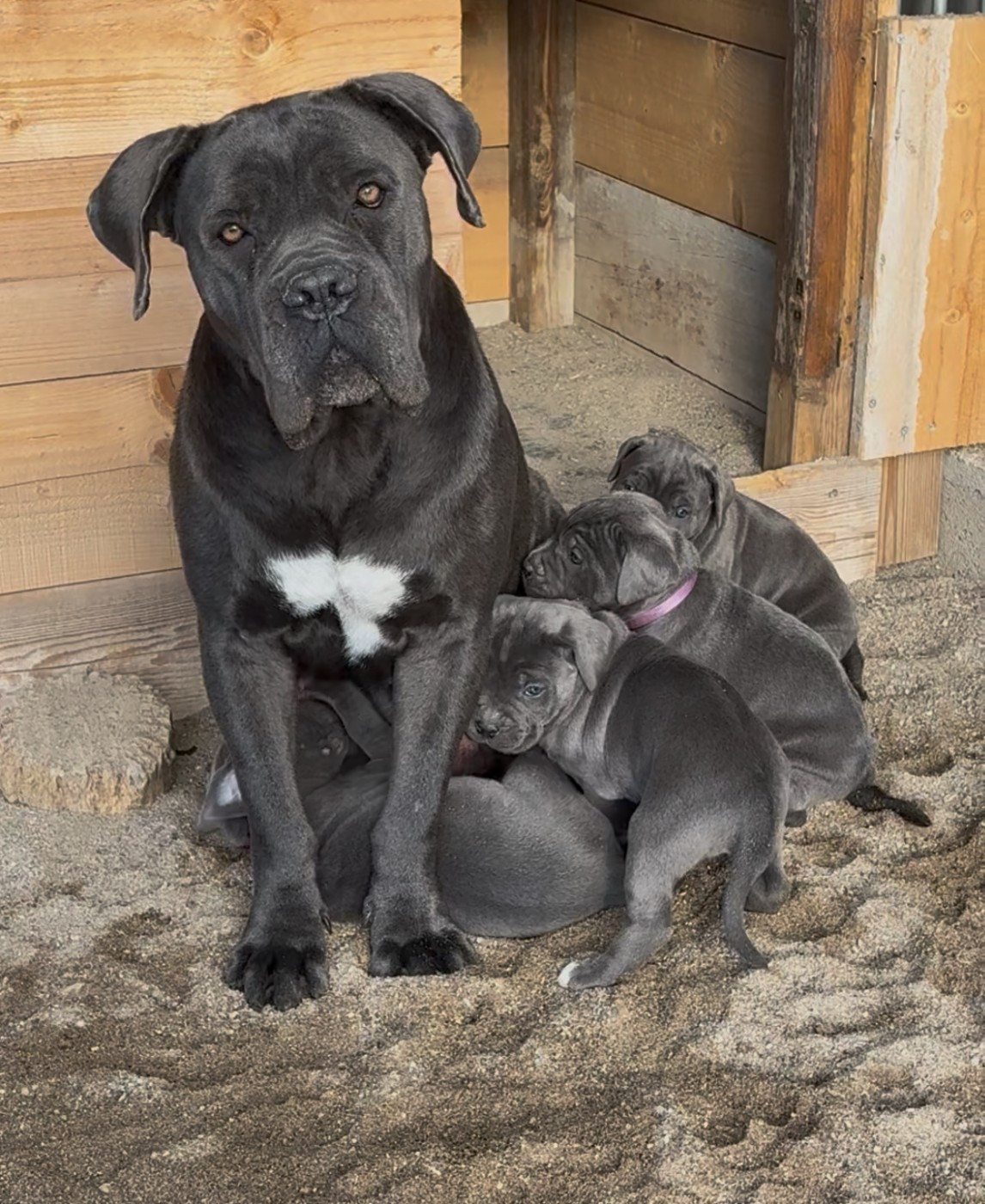 Un peu froid, mais un moment dehors avec maman !
