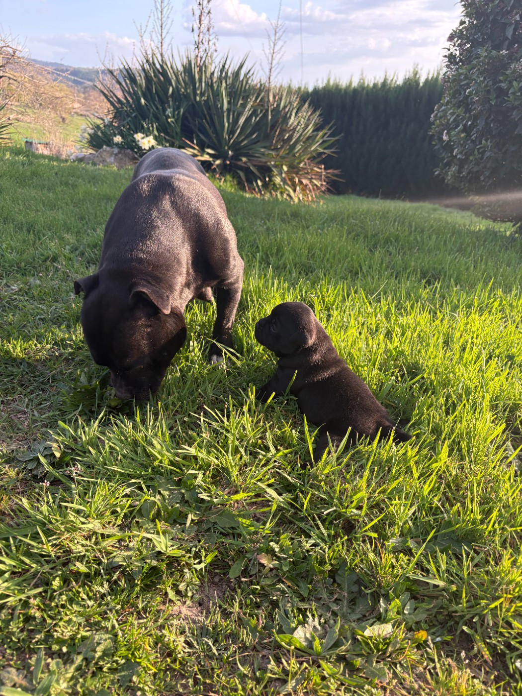 première sortie ce week end