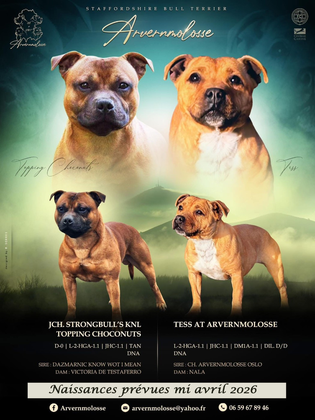 Gestation confirmée