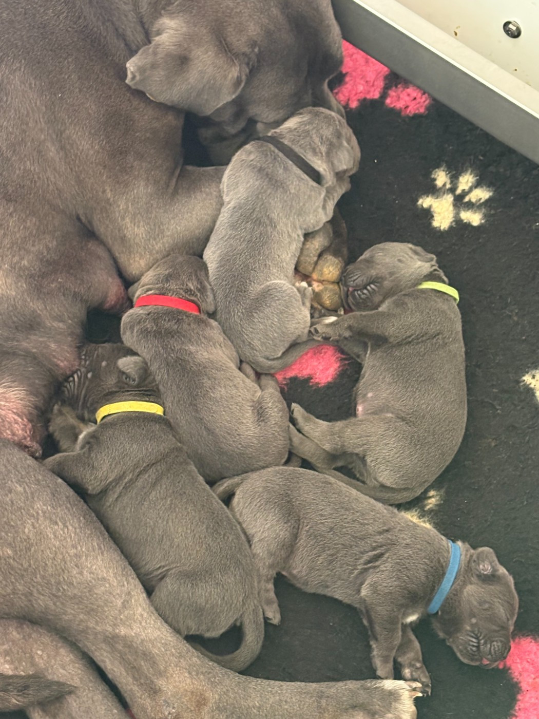 8 jours les bébés !