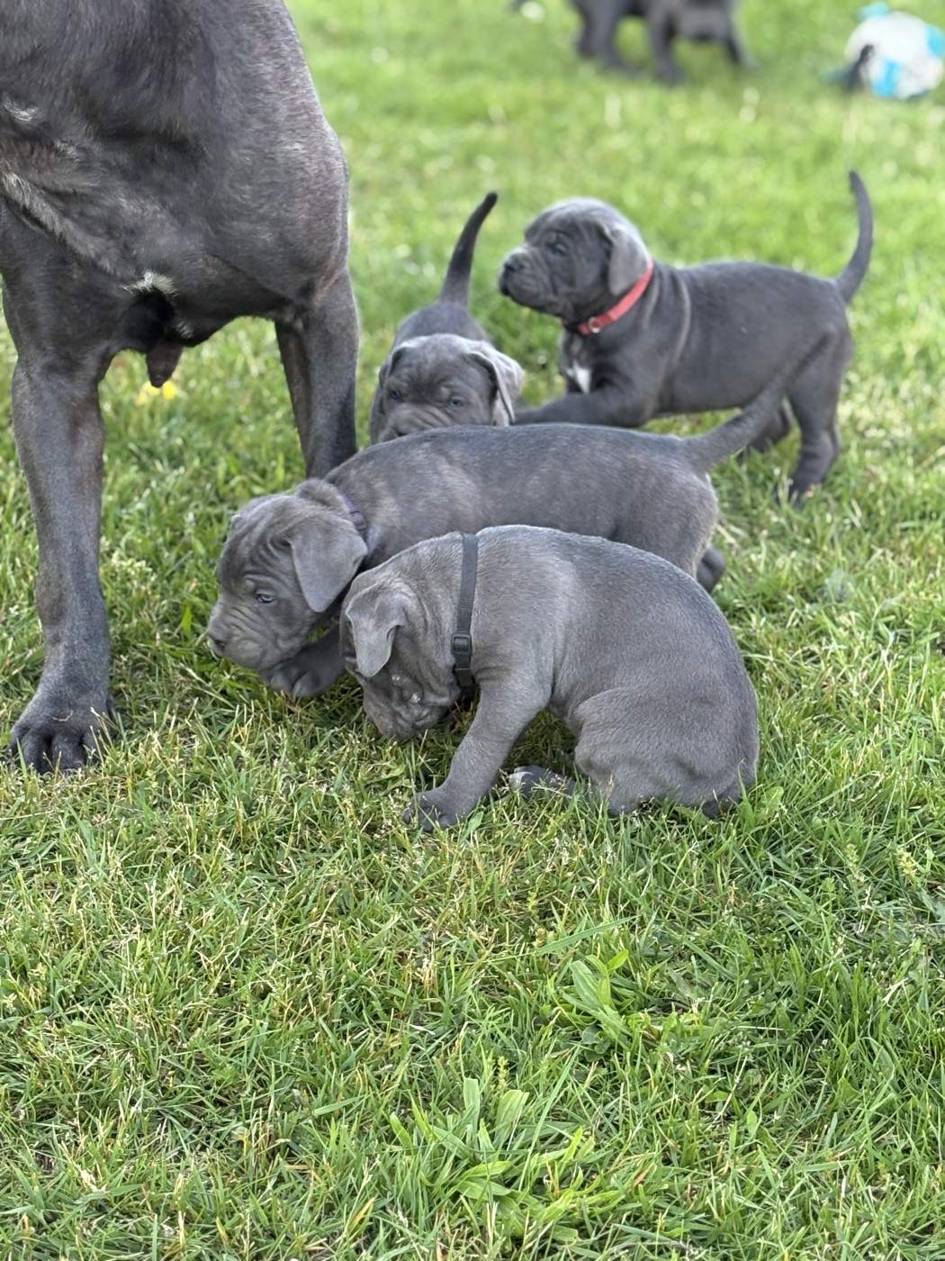 Le soleil est enfin là, on profite avec maman