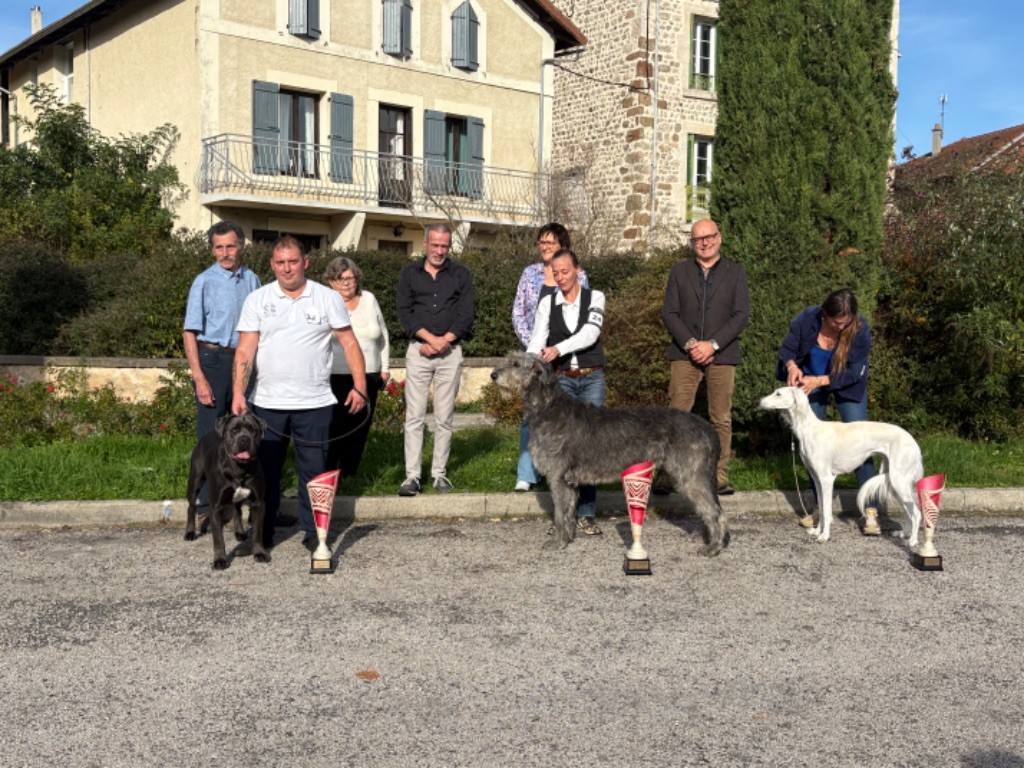 Notre U two 2eme meilleur chien d Auvergne 